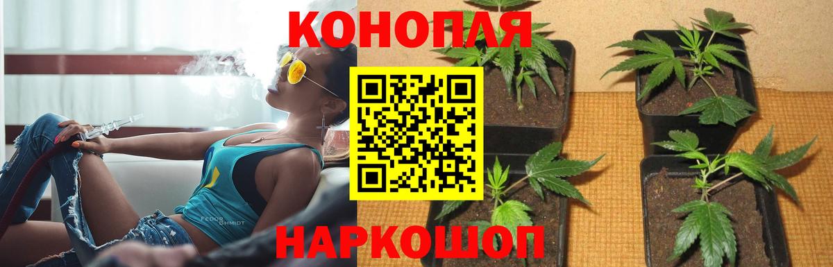 Марихуана сатива  Бошки Шишки White Widow  Вход с VPN  Югорск 